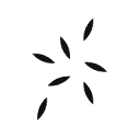 Bloom logo