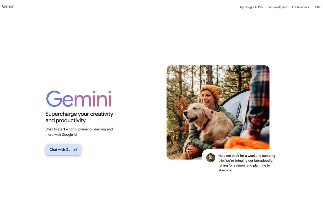 Google Gemini preview